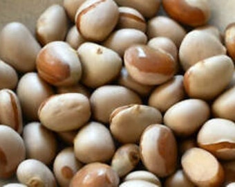 Tropical Fruit Seeds Etsy