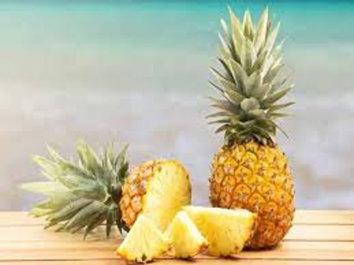 Sun dry Organic pineapple slides Grade A Quality spices Etsy
