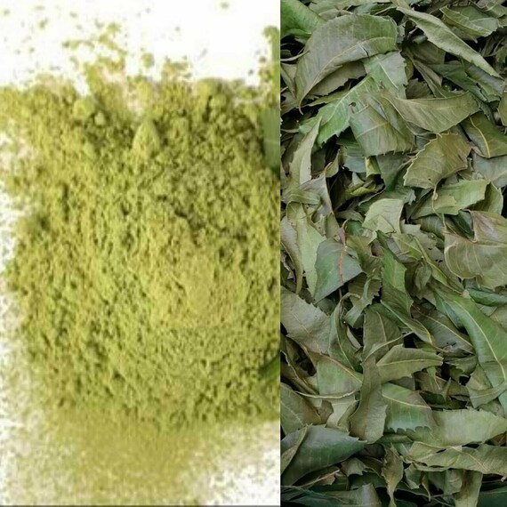 Ari Dry Neem leaf Extract Powder Natural Dried neem leaves Etsy