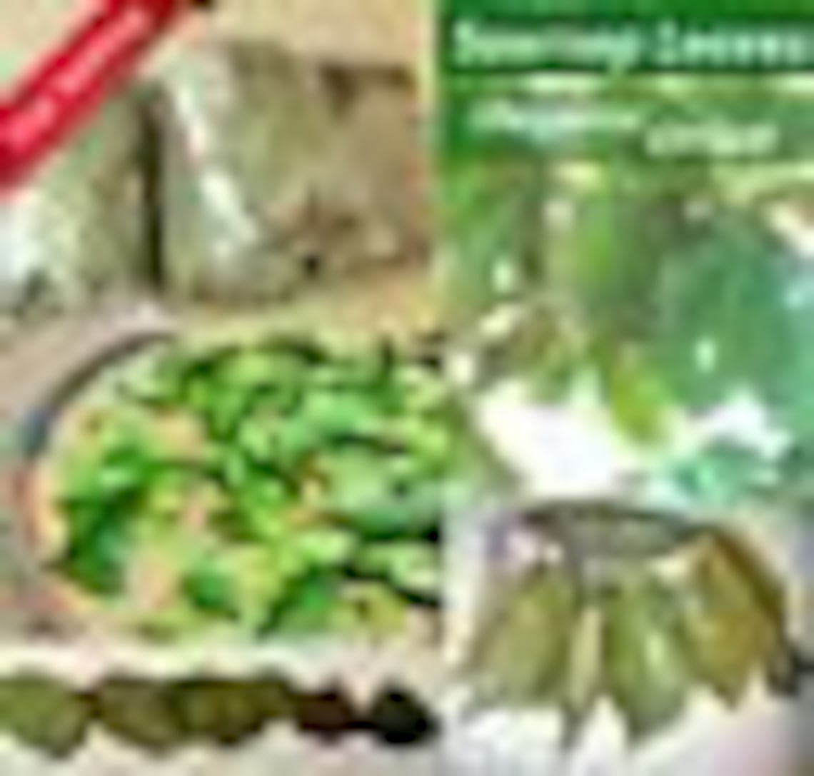 Hojas de guanábana secas orgánicas en sol Etsy España