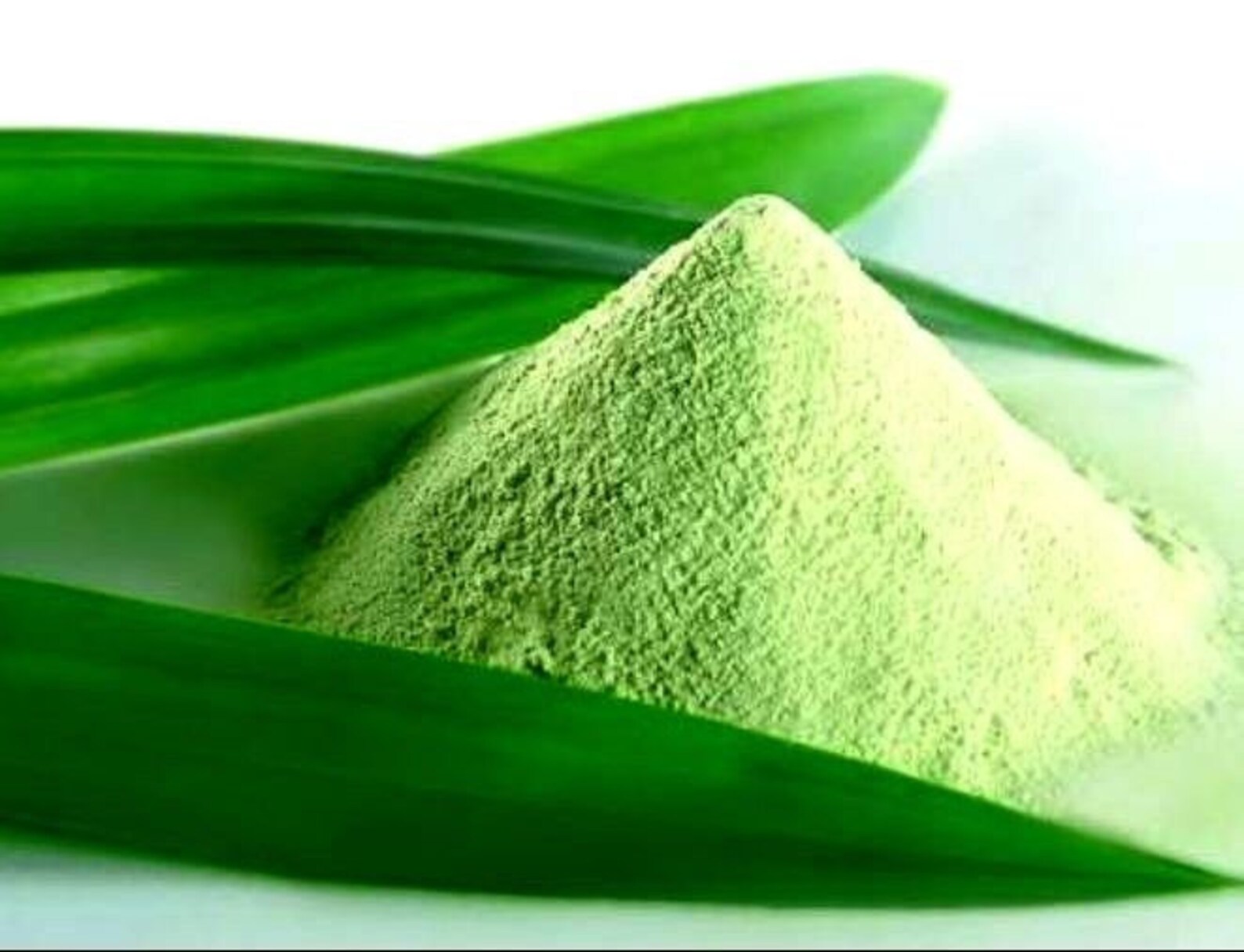 Organic Powder Pandan Leaves Fresh Ceylon Pandanus Etsy