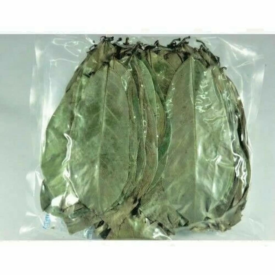 Hojas de guanábana secas orgánicas en sol Etsy México