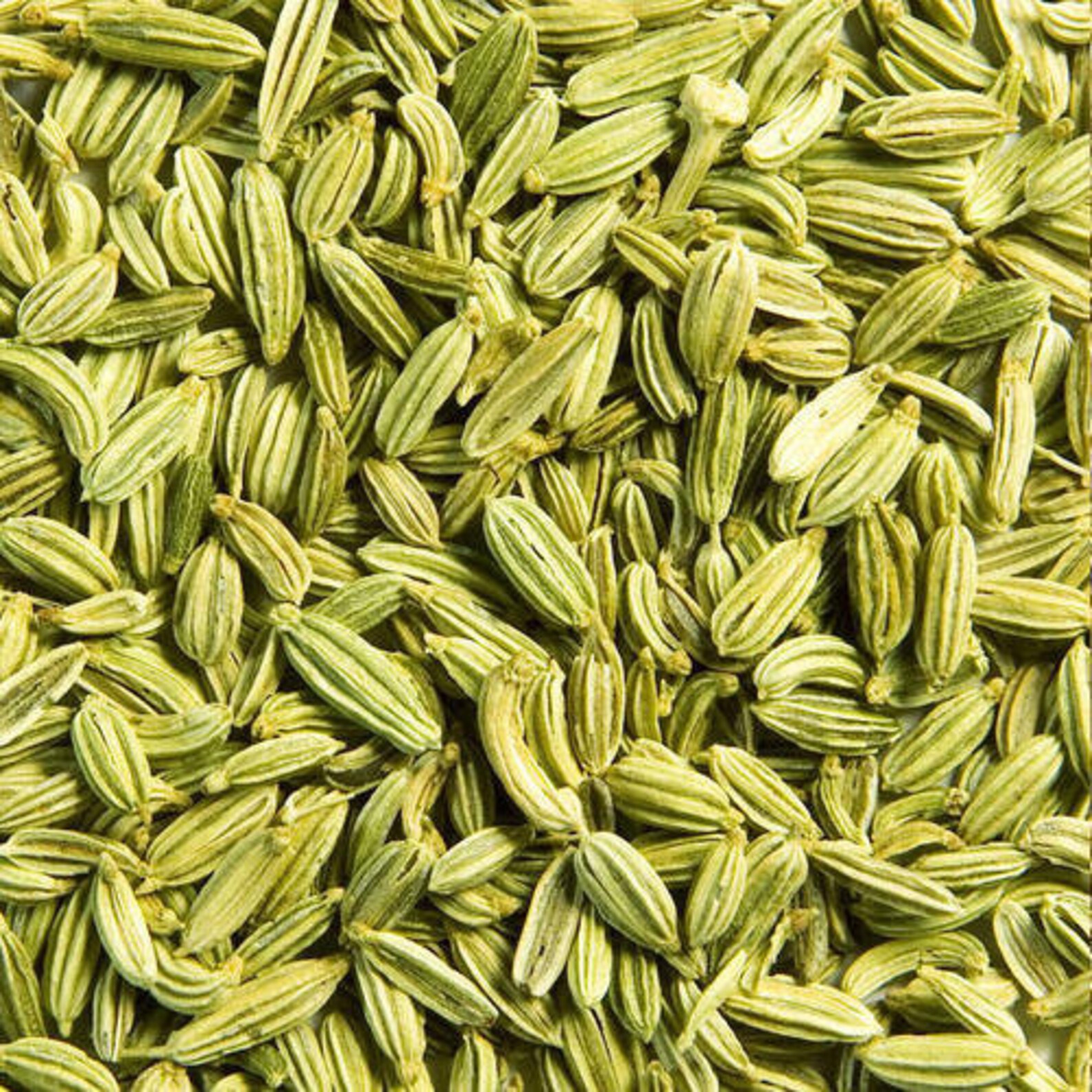 Fenchel Samen Gewürz von RuVi Green sri lanka Etsy