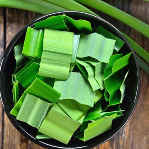 ORGANIC PANDAN Leaf Powder Pandanus Amaryllifolius Daun Etsy