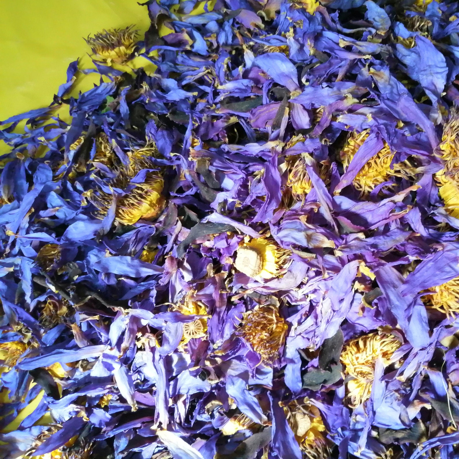 Natural Dried Blue Lotus Nymphaea Caerulea Flower Tea Organic Etsy UK