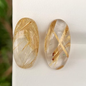 May include: Two oval-shaped gemstones with clear, translucent bodies and golden, needle-like inclusions. The gemstones are set against a white background, with green foliage visible in the blurred background. These gemstones are likely used for jewelry.