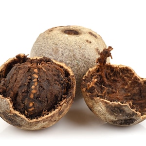 Semillas de manzano silvestre, Limonia Acidissima, manzano elefante - 30 semillas para cultivar