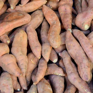 Könnte beinhalten: Ein Nahaufnahmebild eines Stapels Süßkartoffeln. Die Kartoffeln sind hellbraun und haben eine raue Textur.