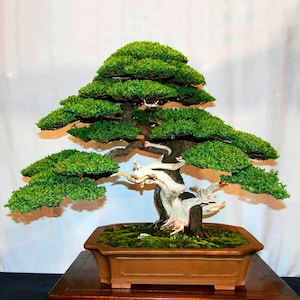 Bonsai artificiel juniperus en coupe 30 à 100 cm - bonsaïs