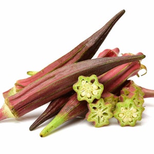 50+ Red Burgundy Okra Seeds(Abelmoschus Esculentus) Fresh Vegetable Seeds