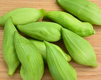 Semillas de Cyclanthera pedata, Caigua, Calabaza zapatilla, Vid frutal, Enredadera trepadora vegetal, Pepino para rellenar - 5 a 20