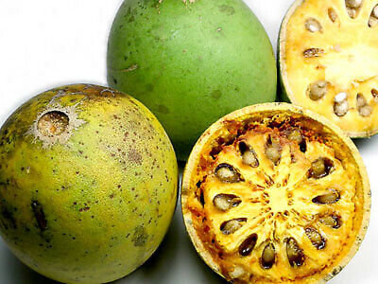 20 Aegle Marmelos Seeds Bengal Quince Golden Apple Stone Etsy