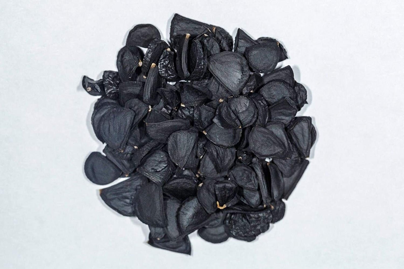 ユッカリギダ (の) ユッカ・リギダ 種子[ブルーユッカ]Yucca rigida