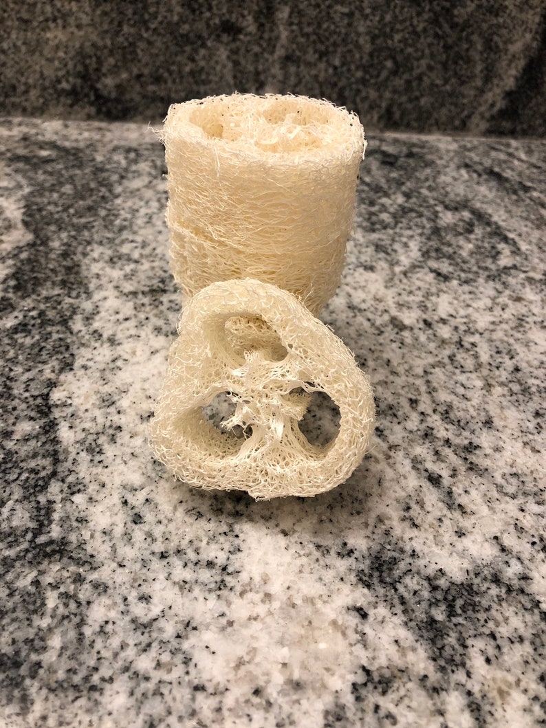 Set of 10 Loofah for soap making soap making supplies Etsy