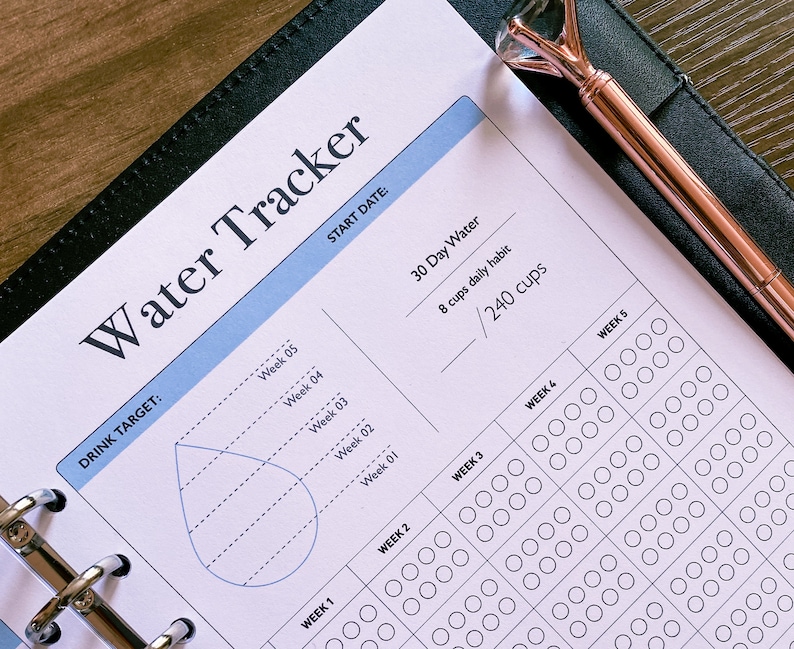 Water Tracker, 30 Day Water Challenge Printable, Water Intake Template, Hydration Tracker, Monthly Water Tracking, Instant Download image 3