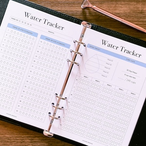 Water Tracker, 30 Day Water Challenge Printable, Water Intake Template, Hydration Tracker, Monthly Water Tracking, Instant Download image 5