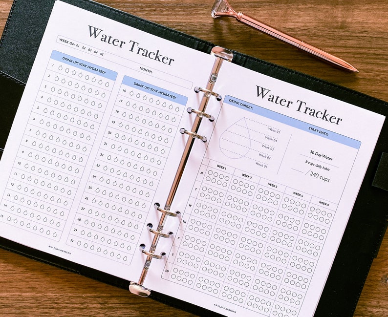 Water Tracker, 30 Day Water Challenge Printable, Water Intake Template, Hydration Tracker, Monthly Water Tracking, Instant Download image 5