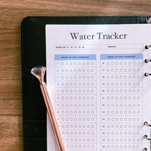 Water Tracker, 30 Day Water Challenge Printable, Water Intake Template, Hydration Tracker, Monthly Water Tracking, Instant Download image 4