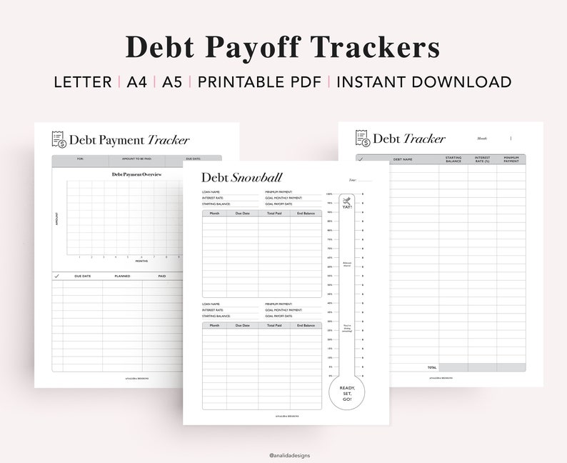 Finance Planner Printable, Debt Snowball, Savings Tracker, Budget Binder, Personal Finance, Digital Financial Planner, A5 Planner Inserts image 7