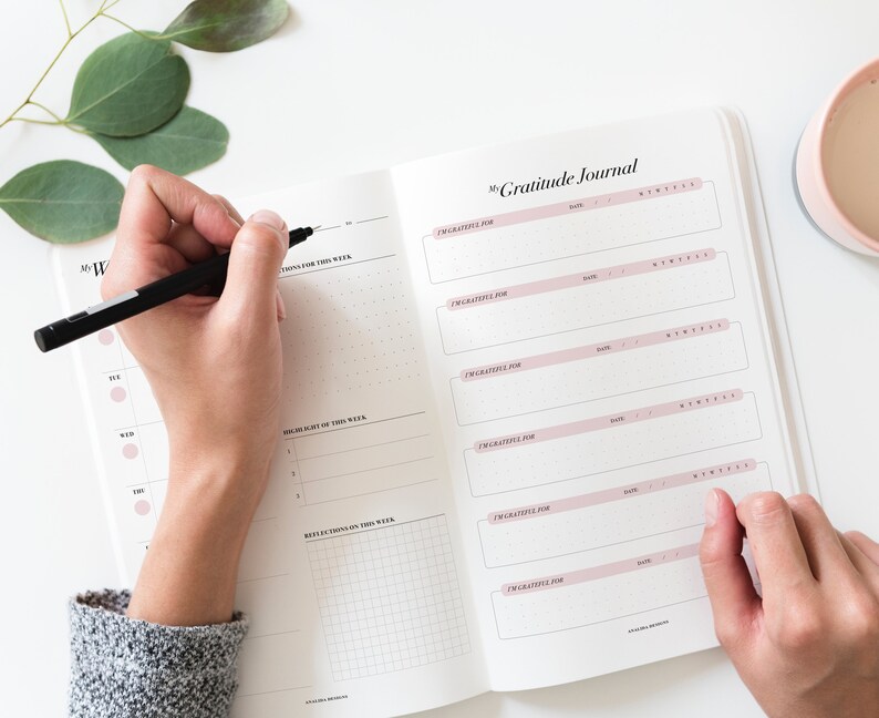 Pode incluir: Um di&aacute;rio de gratid&atilde;o branco com um design rosa e preto. O di&aacute;rio tem uma se&ccedil;&atilde;o para entradas di&aacute;rias de gratid&atilde;o e uma se&ccedil;&atilde;o de reflex&atilde;o semanal.