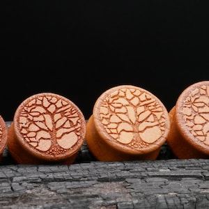 1x wooden plug 8-25 mm - P3