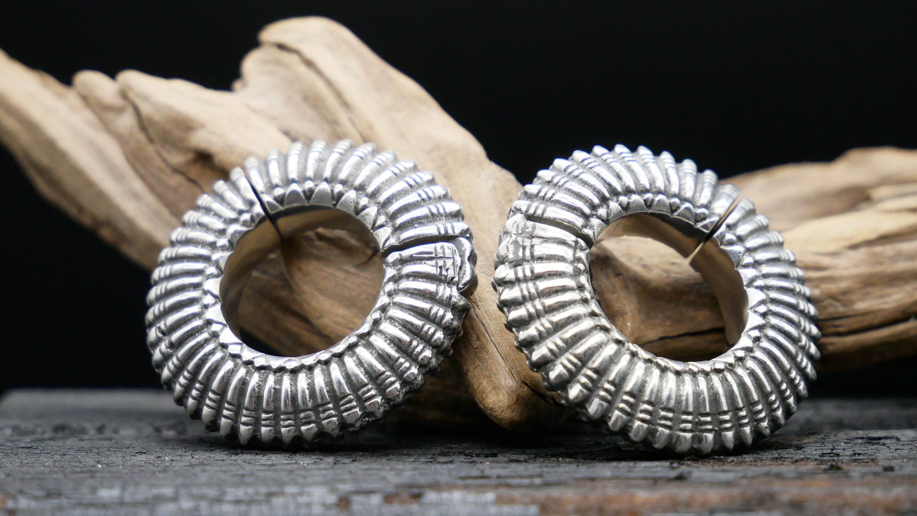 White brass shop ear weights
