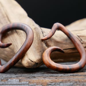 Narra Wood Snail - GG-5