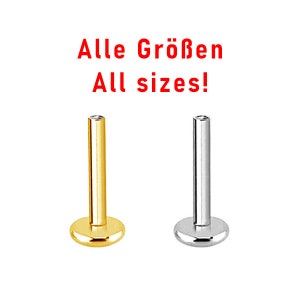 May include: Two labret studs, one gold and one silver, with flat ends. The text "Alle Gr&ouml;&szlig;en All sizes!" is above the studs.