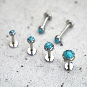 Könnte beinhalten: Satz mit sechs Lippen- oder Augenbrauenpiercing-Schmuck aus türkisfarbenem Edelstein. Der Schmuck ist aus Chirurgenstahl gefertigt und in verschiedenen Größen erhältlich.