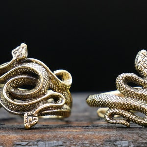 Könnte beinhalten: Zwei goldfarbene Schlangenringe. Der Ring links zeigt eine sich windende Schlange mit erhobenem Kopf. Der Ring rechts zeigt eine einzelne Schlange mit erhobenem Kopf.