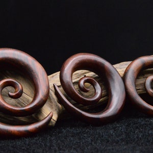 Narra Wood Snail - GG-5