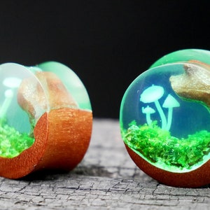 Wood anal plug - Etsy Mxico