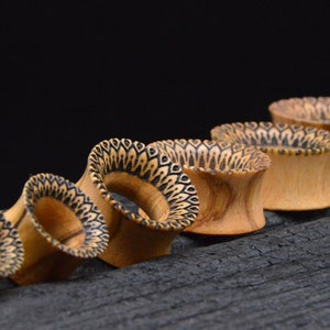 1x Tunnel olive wood 12-25 mm - D1