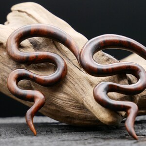 Narra Wood Snail - GG-6