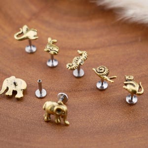 Può includere: Una collezione di orecchini a lobo in metallo color oro con varie forme di animali, tra cui un elefante, un cavalluccio marino, una lumaca e una balena. Ogni orecchino ha un perno in metallo color argento e una base circolare piatta.