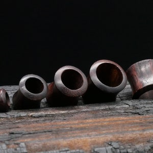 May include: A set of six wooden ear gauges in various sizes, ranging from small to large. The gauges are a dark reddish-brown color and have a smooth, polished finish. They are arranged in a row on a piece of charred wood.