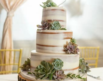 Succulent Wedding Cake Topper, Real Live Wedding Cake Topper , Floral Wedding Cake Decor, 12 succulents