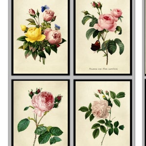 Set of 4 Floral Prints, Set No.024,Antique Botanical Prints,Giclee,Art Print,Botanical Prints,Wall Art, Print, Cottage Decor, Botanical Art