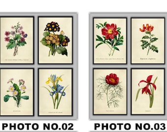 Botanical Prints No.023, Set of 4,Antique Botanical Prints,Giclee,Art Print,Botanical Prints,Wall Art, Print, Cottage Decor, Botanical Art