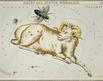 The Aries and Musca Borealis,Astronomical Antique chart illustration from 1831, Astrology Stars Vintage Truck. Vintage poster zodiac signs.