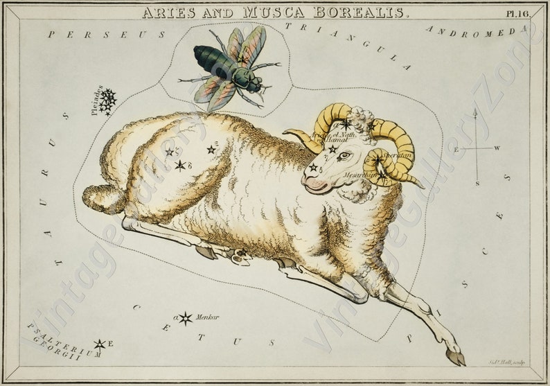 The Aries and Musca Borealis,Astronomical Antique chart illustration from 1831, Astrology Stars Vintage Truck. Vintage poster zodiac signs. image 1