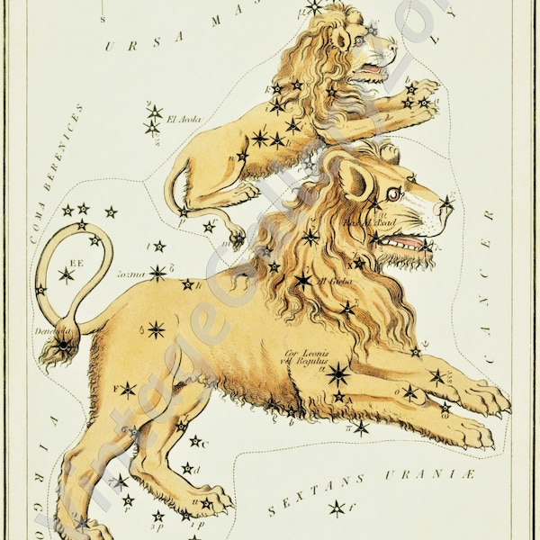 Leo Major and Leo Minor.  Astronomical  Antique chart illustration of the Cosmos, Astrology Stars Vintage Truck,Vintage poster zodiac signs.