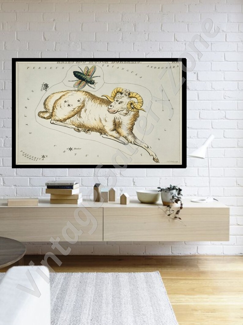 The Aries and Musca Borealis,Astronomical Antique chart illustration from 1831, Astrology Stars Vintage Truck. Vintage poster zodiac signs. image 3