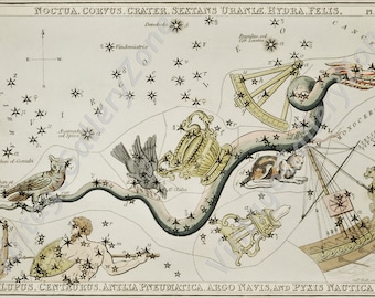 Urania's Mirror-Noctua,Corvus,Crater,Sextans Uraniae. Astronomical vintage chart illustration (1825) the constellations of the antique sky.