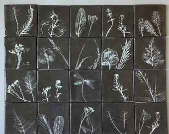 May include: A set of 20 black square tiles with white pressed botanicals. Each tile features a different type of plant or flower.