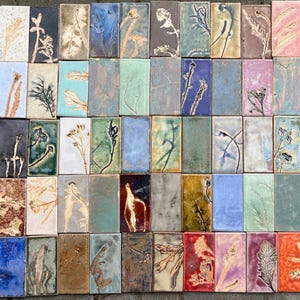 Puede incluir: Una colección de baldosas cerámicas rectangulares con diseños botánicos. Cada baldosa presenta un motivo único de planta o floral prensado en varios colores, incluyendo azul, verde, rojo y marrón. Las baldosas están dispuestas juntas, mostrando la variedad de texturas y tonos.