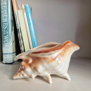May include: A ceramic seashell-shaped planter in shades of white, tan, and brown. The planter has a glossy finish and is supported by three small legs. Books are visible in the background.