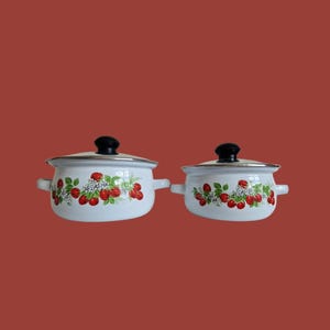 Par vintage metallkokpannor med glaslock dekorativ jordgubbsdesign