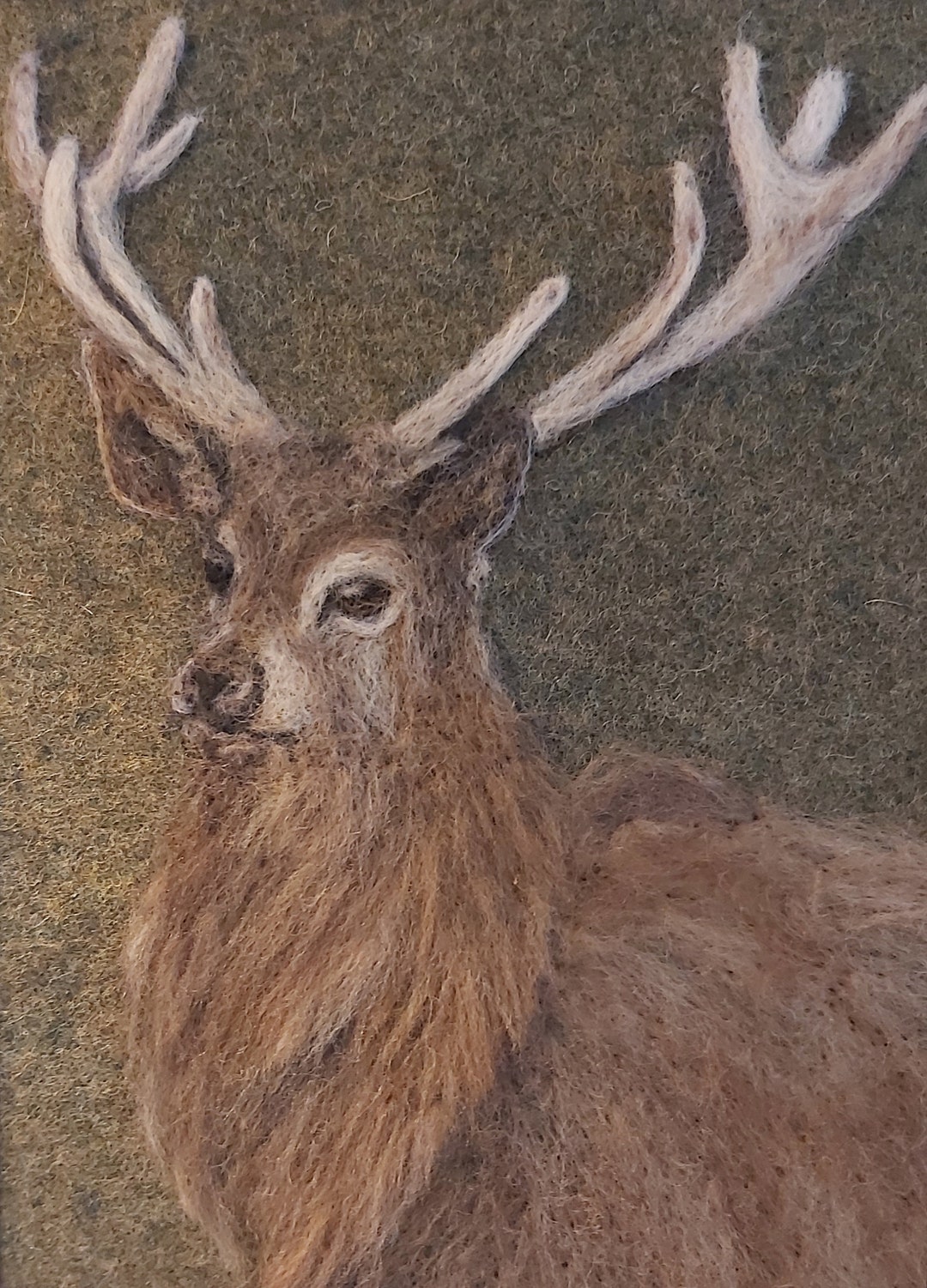 Feutre Aiguilleté De Laine 100%, 250g/m, 1,0 M De Largeur 2,5 M De Long