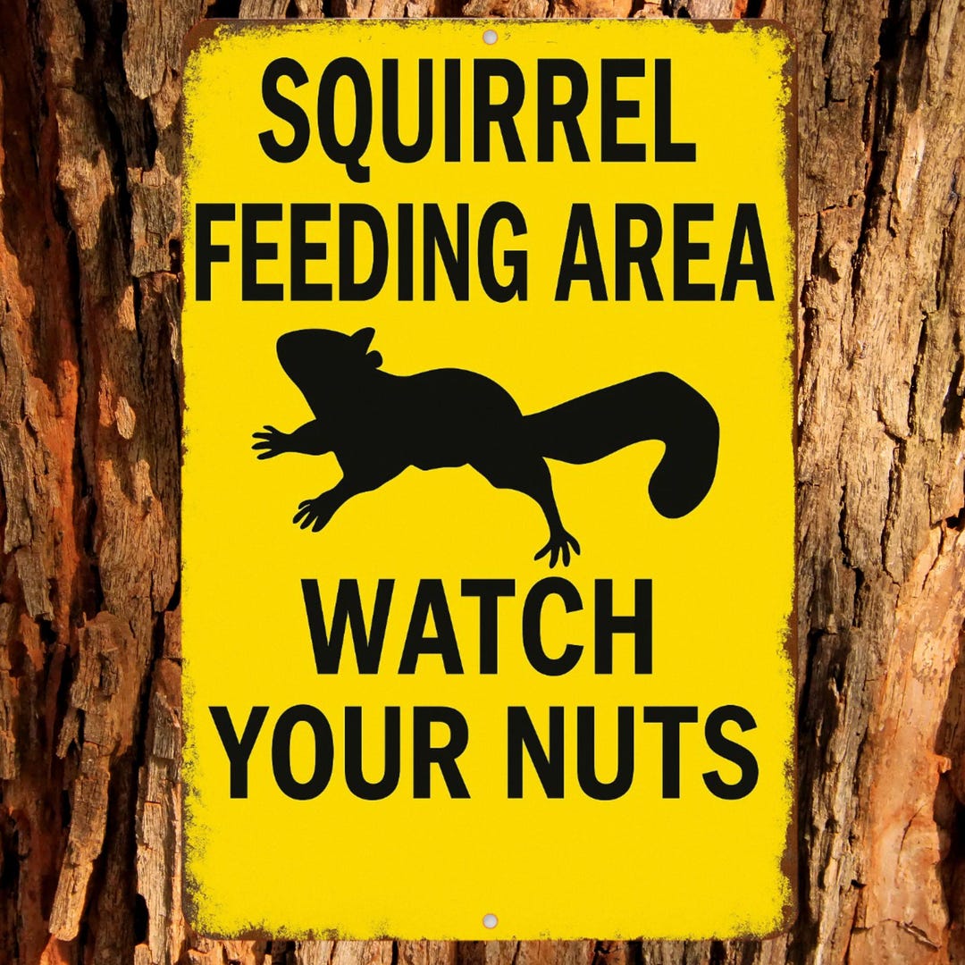 Squirrel Rave Sign Funny Squirrel Sign, Squirrel Feeding Area Sign, Distresses Warning ...